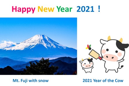 happy new year 2021.jpg